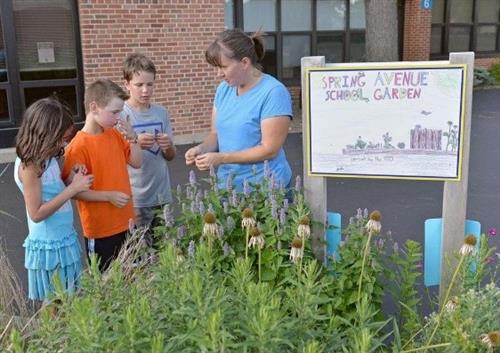 Spring Avenue School Garden Spring Avenue School Garden